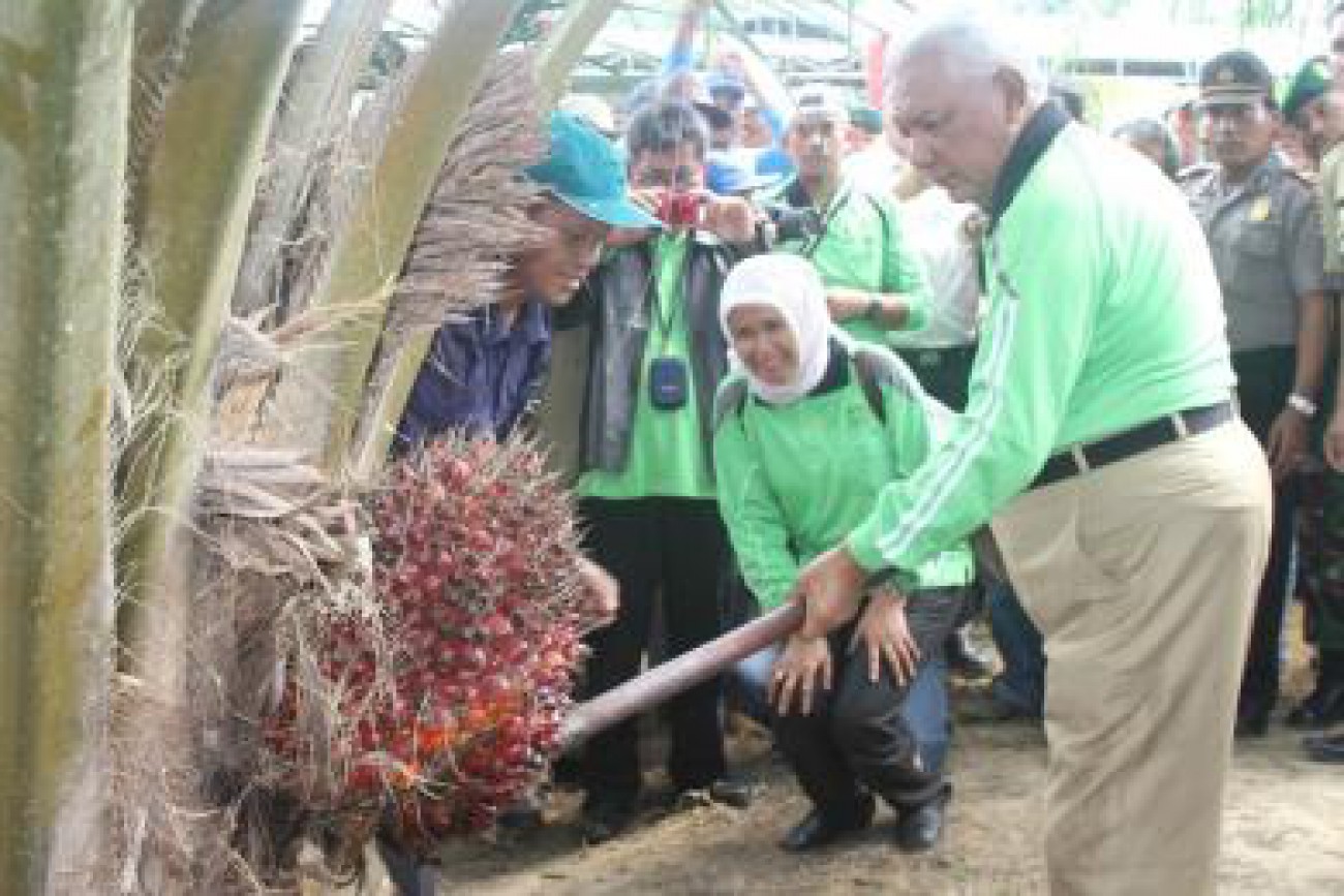 PTSP Keluarkan 12 Ijin Senilai Rp6,95 Triliun